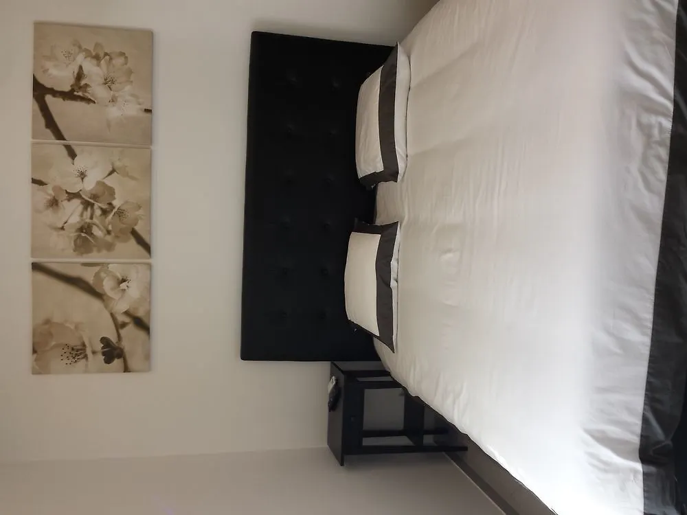 Brand New Villa In The City Center Cannes 3*,