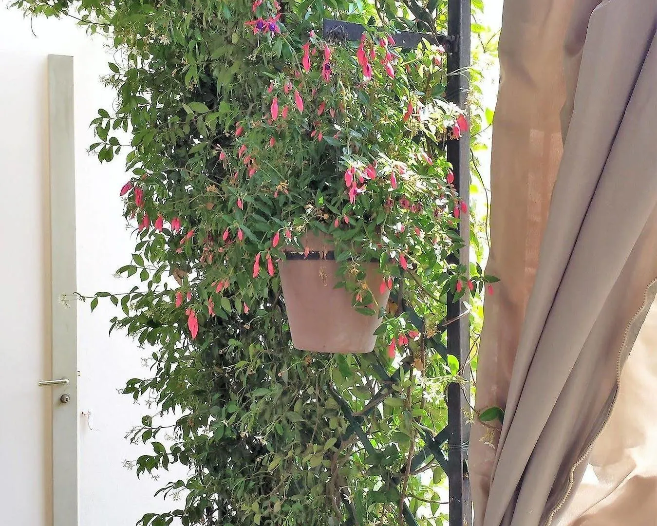 Brand New Villa In The City Center Cannes